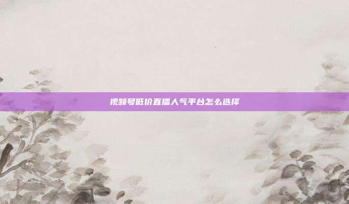 视频号低价直播人气平台怎么选择