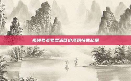 视频号老号盘活低价涨粉快速起量