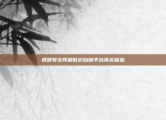 视频号全网最低价自助平台真实体验