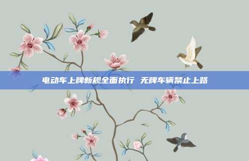 电动车上牌新规全面执行 无牌车辆禁止上路