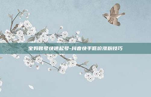 宝妈账号快速起号-抖音快手低价涨粉技巧