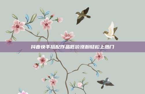 抖音快手搭配作品低价涨粉轻松上热门