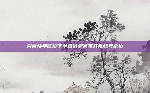 抖音快手低价下单精准标签不打乱账号定位