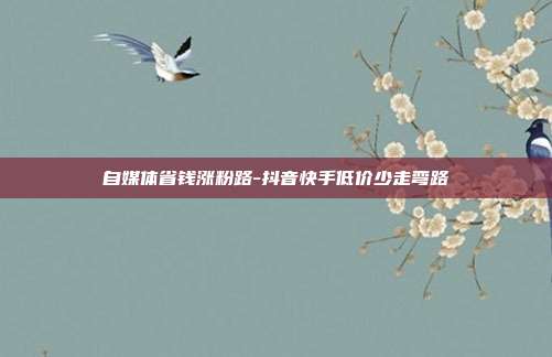 自媒体省钱涨粉路-抖音快手低价少走弯路
