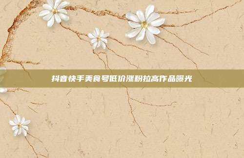 抖音快手美食号低价涨粉拉高作品曝光