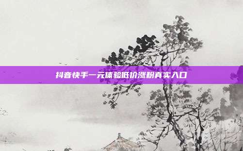 抖音快手一元体验低价涨粉真实入口