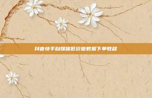 抖音快手自媒体低价做数据下单教程