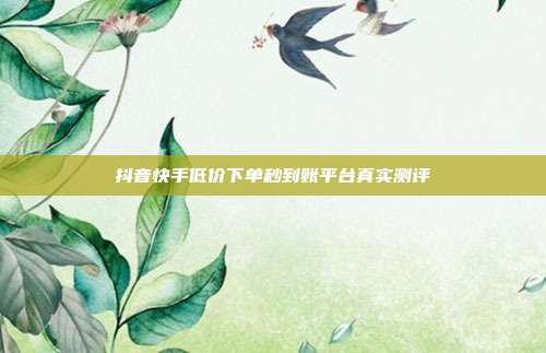 抖音快手低价下单秒到账平台真实测评