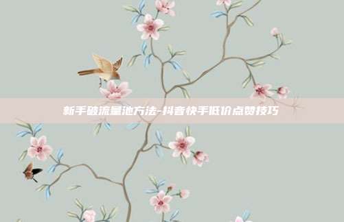 新手破流量池方法-抖音快手低价点赞技巧