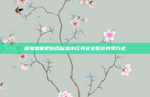 缓慢增量更贴合自然小红书安全低价养号方式