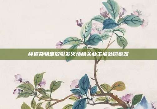 楼道杂物堆放引发火情相关业主被处罚整改