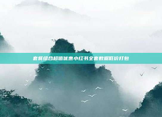 套餐组合超值优惠小红书全套数据低价打包