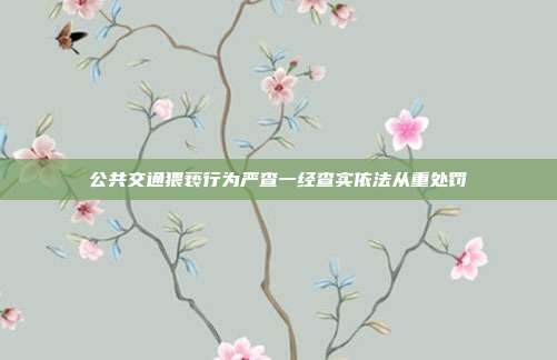 公共交通猥亵行为严查一经查实依法从重处罚