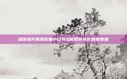 稳步提升各项权重小红书均衡低价优化账号数据