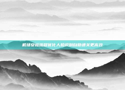 机场安检流程优化人脸识别自助通关更高效