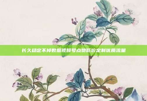 长久稳定不掉数据视频号点赞低价定制优质流量