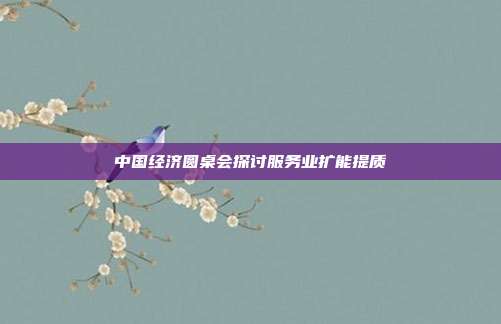 中国经济圆桌会探讨服务业扩能提质