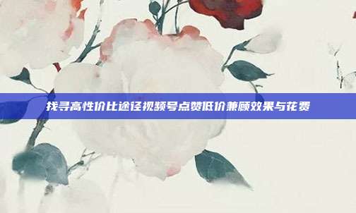 找寻高性价比途径视频号点赞低价兼顾效果与花费