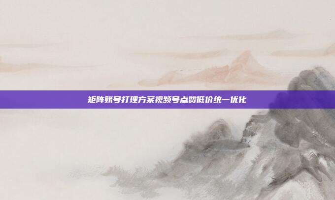 矩阵账号打理方案视频号点赞低价统一优化