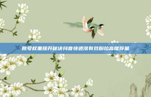 账号权重提升秘诀抖音快速涨有效粉拉高推荐量