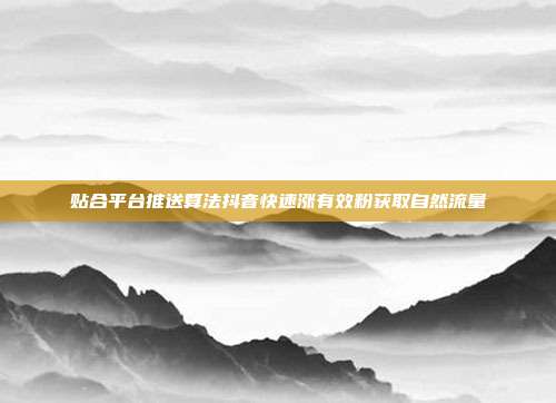 贴合平台推送算法抖音快速涨有效粉获取自然流量