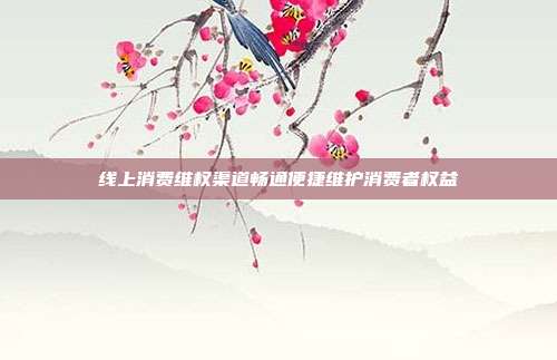 线上消费维权渠道畅通便捷维护消费者权益