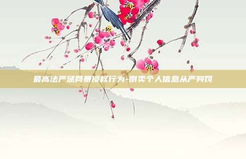 最高法严惩网暴侵权行为-倒卖个人信息从严判罚
