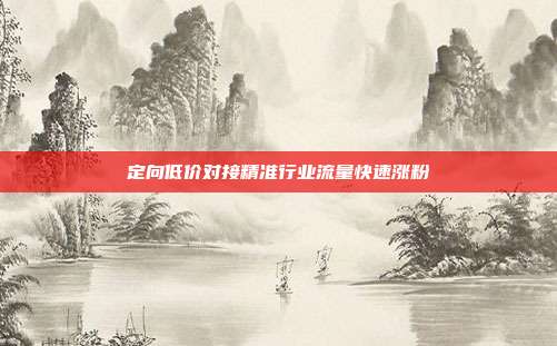 定向低价对接精准行业流量快速涨粉