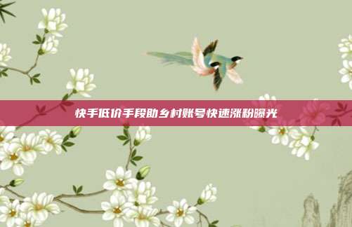 快手低价手段助乡村账号快速涨粉曝光
