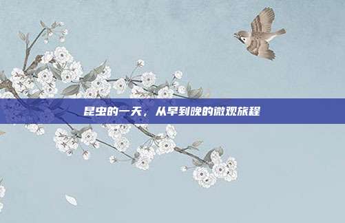 昆虫的一天，从早到晚的微观旅程