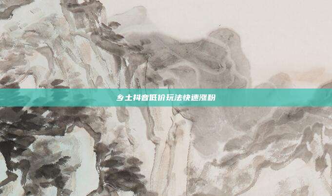乡土抖音低价玩法快速涨粉