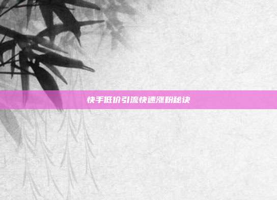 快手低价引流快速涨粉秘诀