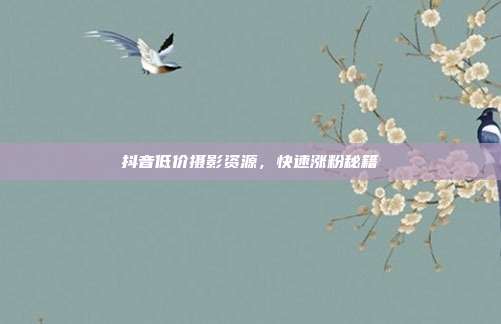 抖音低价摄影资源，快速涨粉秘籍