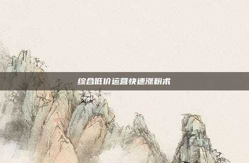 综合低价运营快速涨粉术