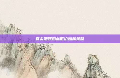 真实活跃粉丝低价涨粉策略