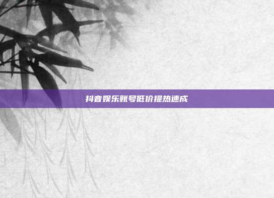 抖音娱乐账号低价提热速成