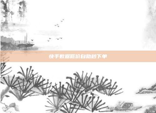 快手数据低价自助秒下单