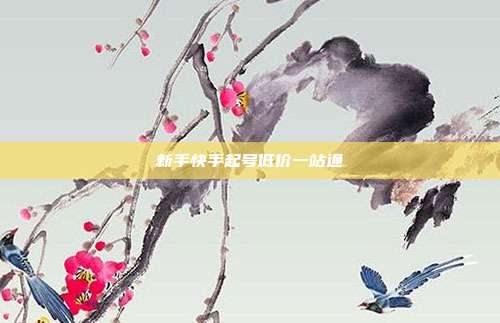 新手快手起号低价一站通