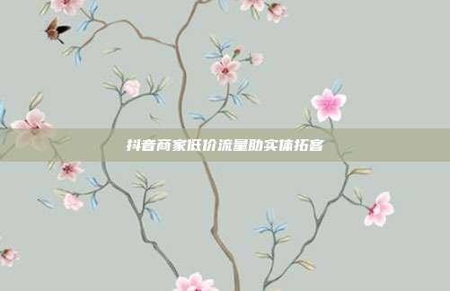 抖音商家低价流量助实体拓客