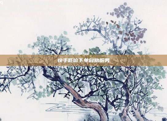 快手低价下单自助服务