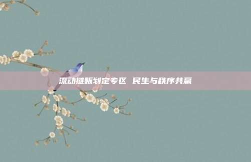流动摊贩划定专区 民生与秩序共赢