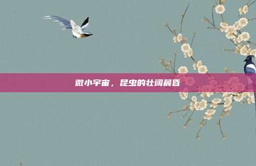 微小宇宙，昆虫的壮阔晨昏