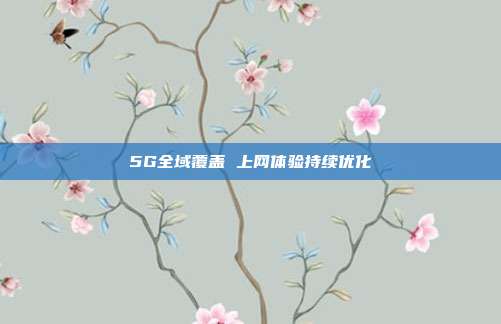 5G全域覆盖 上网体验持续优化
