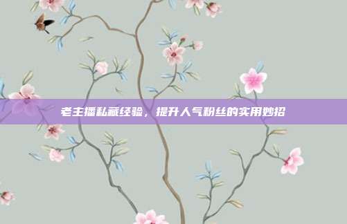 老主播私藏经验，提升人气粉丝的实用妙招