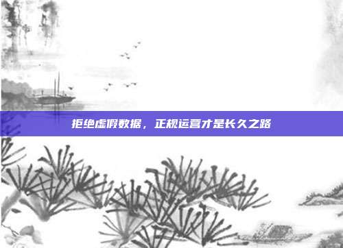 拒绝虚假数据，正规运营才是长久之路