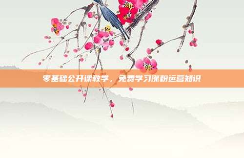零基础公开课教学，免费学习涨粉运营知识
