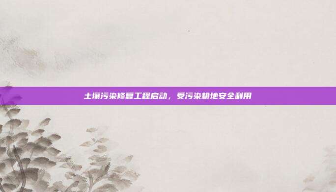 土壤污染修复工程启动，受污染耕地安全利用