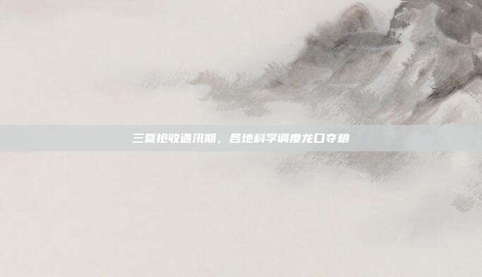 三夏抢收遇汛期，各地科学调度龙口夺粮