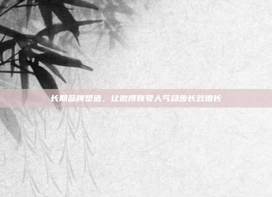 长期品牌塑造，让微博账号人气稳步长效增长