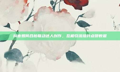 抖音如何合拍联动达人创作，互相引流提升点赞数据